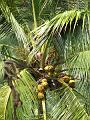 2007 07 17 BALI 0039